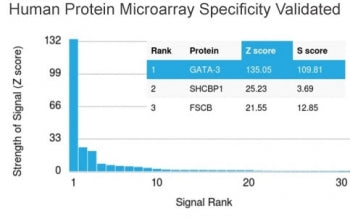 Analysis of HuProt(TM) microarray containing more than 19,000 full-length human proteins using GATA3