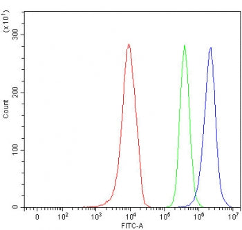 SLC17A4 Antibody