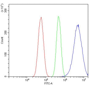 RALBP1 Antibody