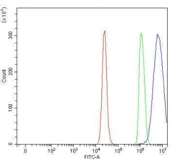 PRSS22 Antibody / Brain-specific serine protease 4