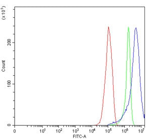 NDFIP1 Antibody / NEDD4 family-interacting protein 1