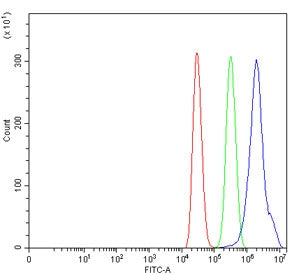 Flow cytometry testing of human MCF7 cells with Triadin antibody at 1ug/million cells (blocked with 