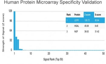 Analysis of HuProt(TM) microarray containing more than 19,000 full-length human proteins using Lepti