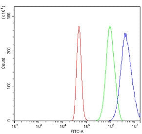 Flow cytometry testing of human A431 cells with PPP4R1 antibody at 1ug/million cells (blocked with g