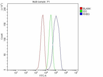 Flow Cytometry analysis of HepG2 cells using anti-RHBG antibody. Overlay histogram showing HepG2 cel