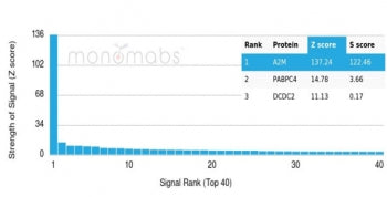 Analysis of a HuProt(TM) microarray containing more than 19,000 full-length human proteins using A2M