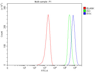 Flow Cytometry analysis of MCF-7 cells using anti-RYK antibody. Overlay histogram showing MCF-7 cell