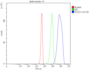 Flow Cytometry analysis of 293T cells using anti-PLCD1 antibody. Overlay histogram showing 293T cell