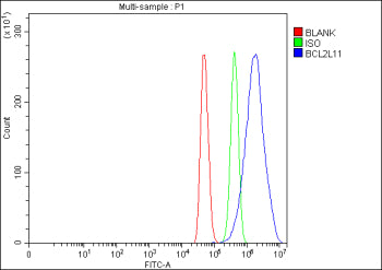 Flow Cytometry analysis of C2C12 cells using anti-Bim antibody. Overlay histogram showing C2C12 cell