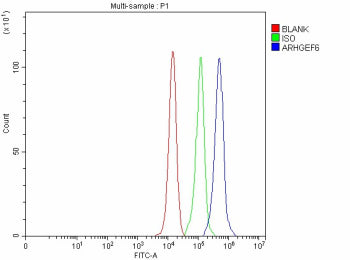 Flow Cytometry analysis of PC-3 cells using anti-ARHGEF6 antibody. Overlay histogram showing PC-3 ce