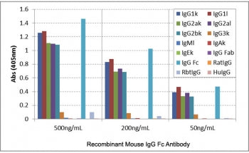 ELISA of mouse immunoglobulins shows the recombinant Mouse IgG Fc antibody reacts to the Fc region o