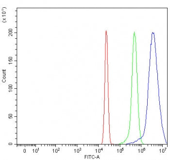 OIP5 Antibody / Opa-interacting protein 5 / Protein Mis18-beta