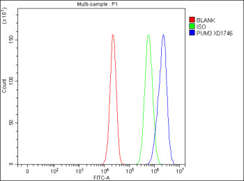 Flow Cytometry analysis of cells using anti-PUM3 antibody. Overlay histogram showing cells stained w