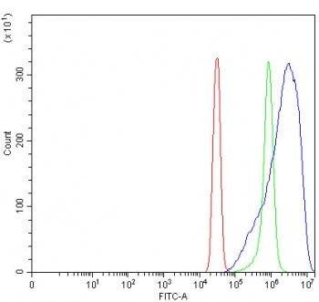 PRKCA Antibody / PKC alpha