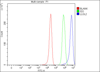 Flow Cytometry analysis of HepG2 cells using anti-LLGL2 antibody. Overlay histogram showing HepG2 ce