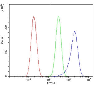 Flow cytometry testing of human HeLa cells with FLNB antibody at 1ug/million cells (blocked with goa