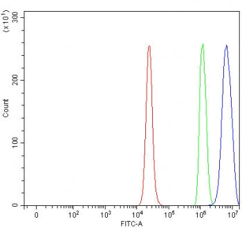 Flow cytometry testing of fixed and permeabilized human RT4 cells with PSD3 antibody at 1ug/million 