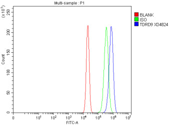 Flow Cytometry analysis of human RT4 cells using anti-TDRD9 antibody. Overlay histogram showing RT4 