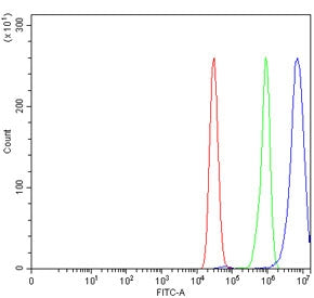 Flow cytometry testing of human MCF7 cells with HCN4 antibody at 1ug/million cells (blocked with goa
