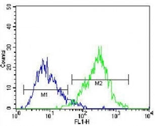 CD138 antibody flow cytometric analysis of U266 cells (right histogram) compared to a negative contr