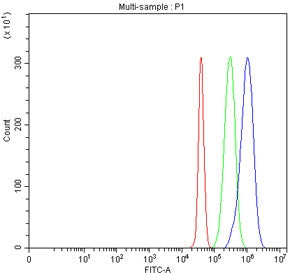 Flow cytometry testing of fixed human JK cells with PCDHGC3 antibody at 1ug/million cells (blocked w