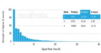 Analysis of a HuProt(TM) microarray containing more than 19,000 full-length human proteins using Alp