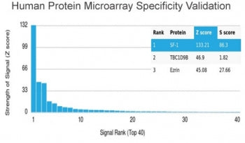 Analysis of HuProt(TM) microarray containing more than 19,000 full-length human proteins using SF-1 