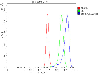 Flow Cytometry analysis of Caco-2 cells using anti-SHANK2 antibody. Overlay histogram showing Caco-2