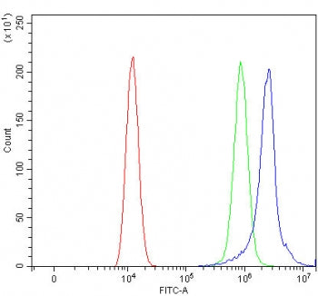 PL48 Antibody / FAM65B / RIPOR2