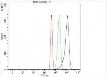 Flow cytometry testing of fixed and permeabilized mouse RAW264.7 cells with Lymphotoxin beta antibod