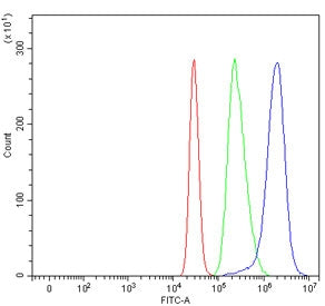 SEC22B Antibody