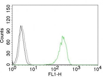 Flow cytometry testing of K562 cells with AF488 conjugated CD71 antibody (green, clone 66IG10), cell