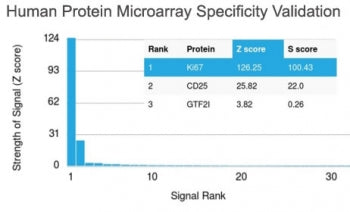 Analysis of HuProt(TM) microarray containing more than 19,000 full-length human proteins using Ki-67