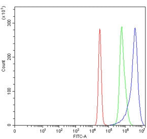 AIDA Antibody / Axin interaction partner and dorsalization antagonist