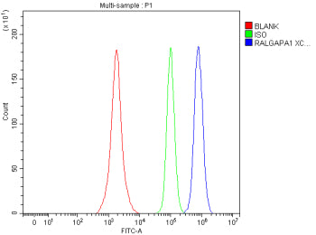 Flow Cytometry analysis of SH-SY5Y cells using anti-RALGAPA1 antibody. Overlay histogram showing SH-
