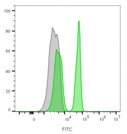 CD4 Antibody