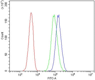 Flow cytometry testing of human 293T cells with ZAP70 antibody at 1ug/million cells (blocked with go