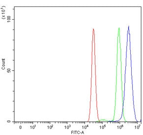 BAP1 Antibody / BRCA1-Associated Protein 1