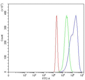 Flow cytometry testing of human HeLa cells with MSH6 antibody at 1ug/million cells (blocked with goa