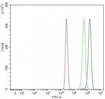 RLBP1 Antibody / Retinaldehyde-binding protein 1 / CRALBP