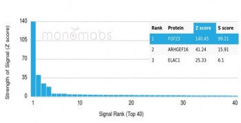 Analysis of a HuProt(TM) microarray containing more than 19,000 full-length human proteins using FGF