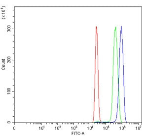 DAO Antibody / D-amino-acid oxidase