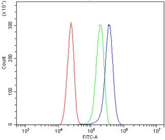 Flow cytometry testing of human U-87 MG cells with WNT5B antibody at 1ug/million cells (blocked with