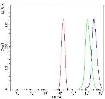 Flow cytometry testing of human U-2 OS cells with ORC1 antibody at 1ug/million cells (blocked with g