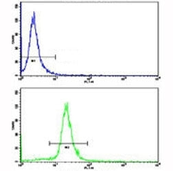 Flow cytometric analysis of WiDr cells using AXL antibody (bottom histogram) compared to a negative 