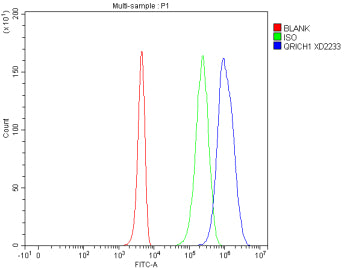 Flow Cytometry analysis of 293T cells using anti-QRICH1 antibody. Overlay histogram showing 293T cel