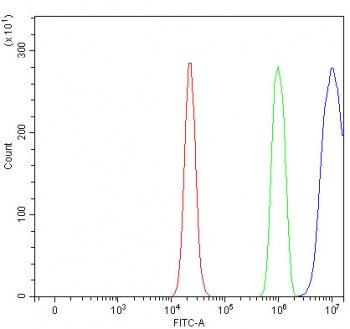 PTPN13 Antibody / FAP-1