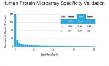 Analysis of HuProt(TM) microarray containing more than 19,000 full-length human proteins using Apoli