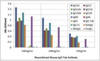 ELISA of mouse immunoglobulins shows the recombinant Mouse IgG Fab antibody reacts to the Fab region