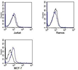FACS testing of Rabbit IgG isotype control antibody on human samples. Black=cells alone, blue= isoty